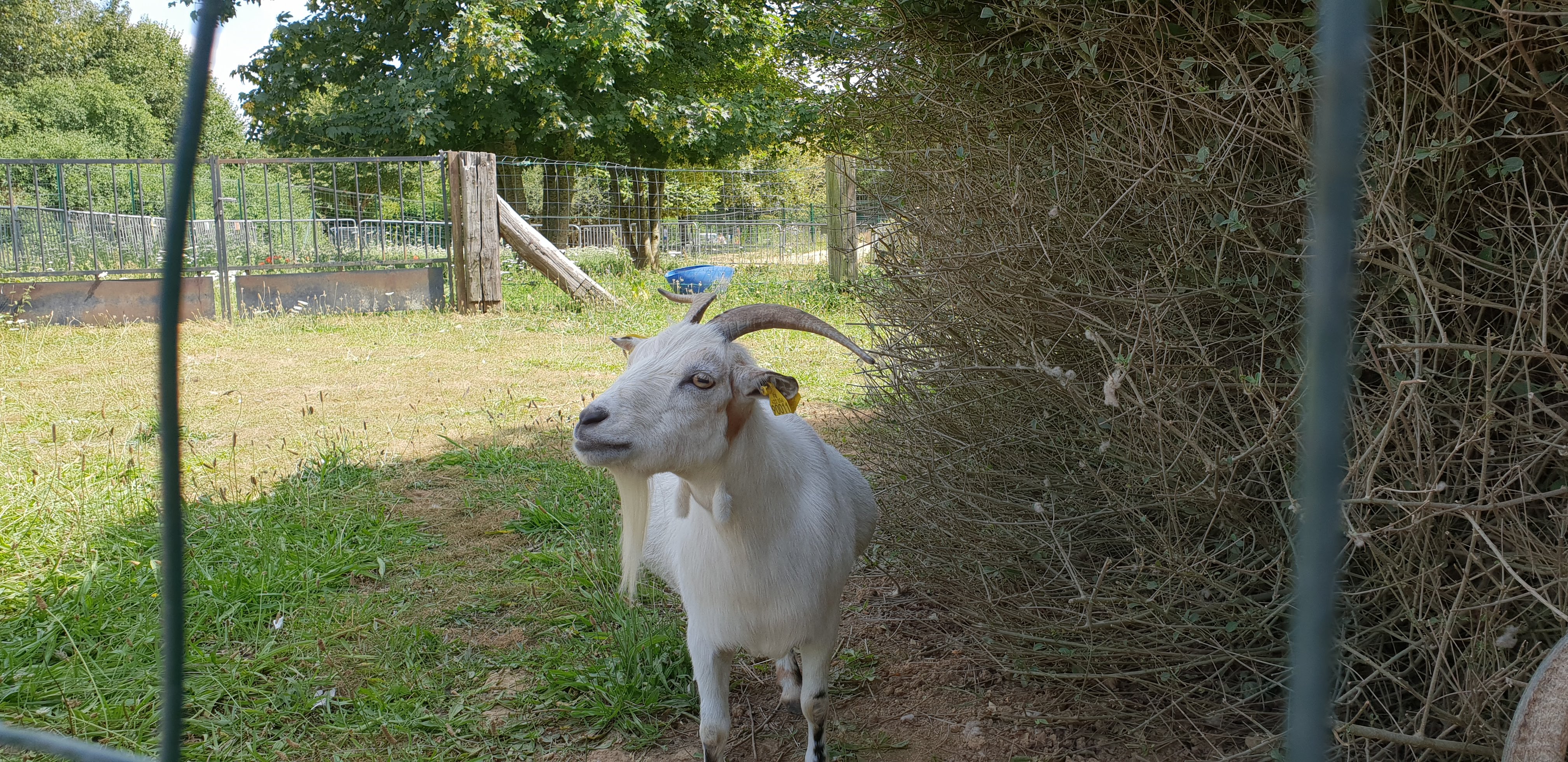 Photo n° 2 de l'avis de gaël.e fait le 14/06/2019 à 17:07