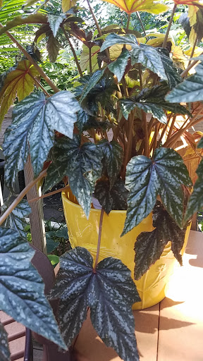 Department Store «HomeGoods», reviews and photos, 2100 Snelling Ave, Roseville, MN 55113, USA