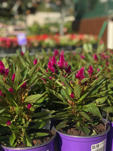 Home Improvement Store «The Home Depot», reviews and photos, 1220 N Wendover Rd, Charlotte, NC 28211, USA