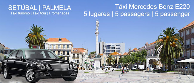 Manuel Soares Ribeiro, Táxis, Lda. - Palmela