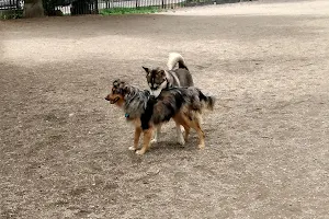 Nelson Park Dog Park image