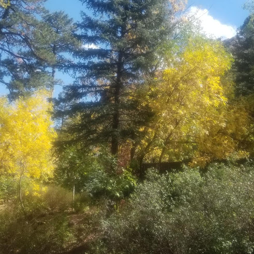 Resort «Great Wolf Lodge Colorado Springs», reviews and photos, 9494 Federal Drive, Colorado Springs, CO 80921, USA