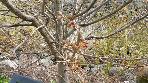 Park «Van Der Donck Park», reviews and photos, 41 Dock St, Yonkers, NY 10701, USA