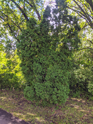 Park «Creekview Park», reviews and photos, 5001 Humboldt Ave N, Minneapolis, MN 55430, USA