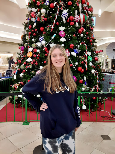 Shopping Mall «Huntington Mall Shopping Center», reviews and photos, 500 Mall Rd, Barboursville, WV 25504, USA