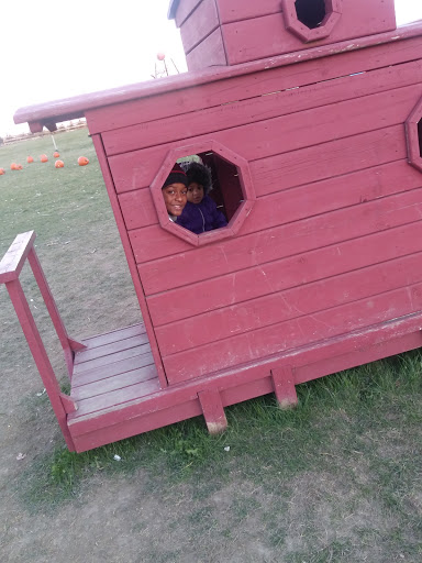 Farm «Kellers Farmstand», reviews and photos, 2500 Johnson Rd, Oswego, IL 60543, USA