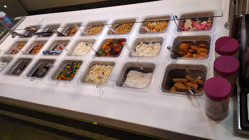 Frozen Yogurt Shop «Yogurtland», reviews and photos, 4170 Lavon Dr #176, Garland, TX 75040, USA