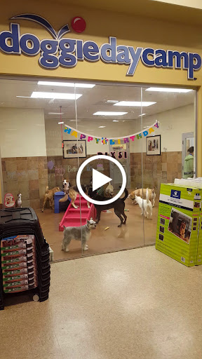 Pet Supply Store «PetSmart», reviews and photos, 19175 Lyndon B Johnson Fwy, Mesquite, TX 75150, USA