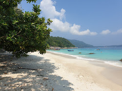 Photo of Turtle Beach located in natural area