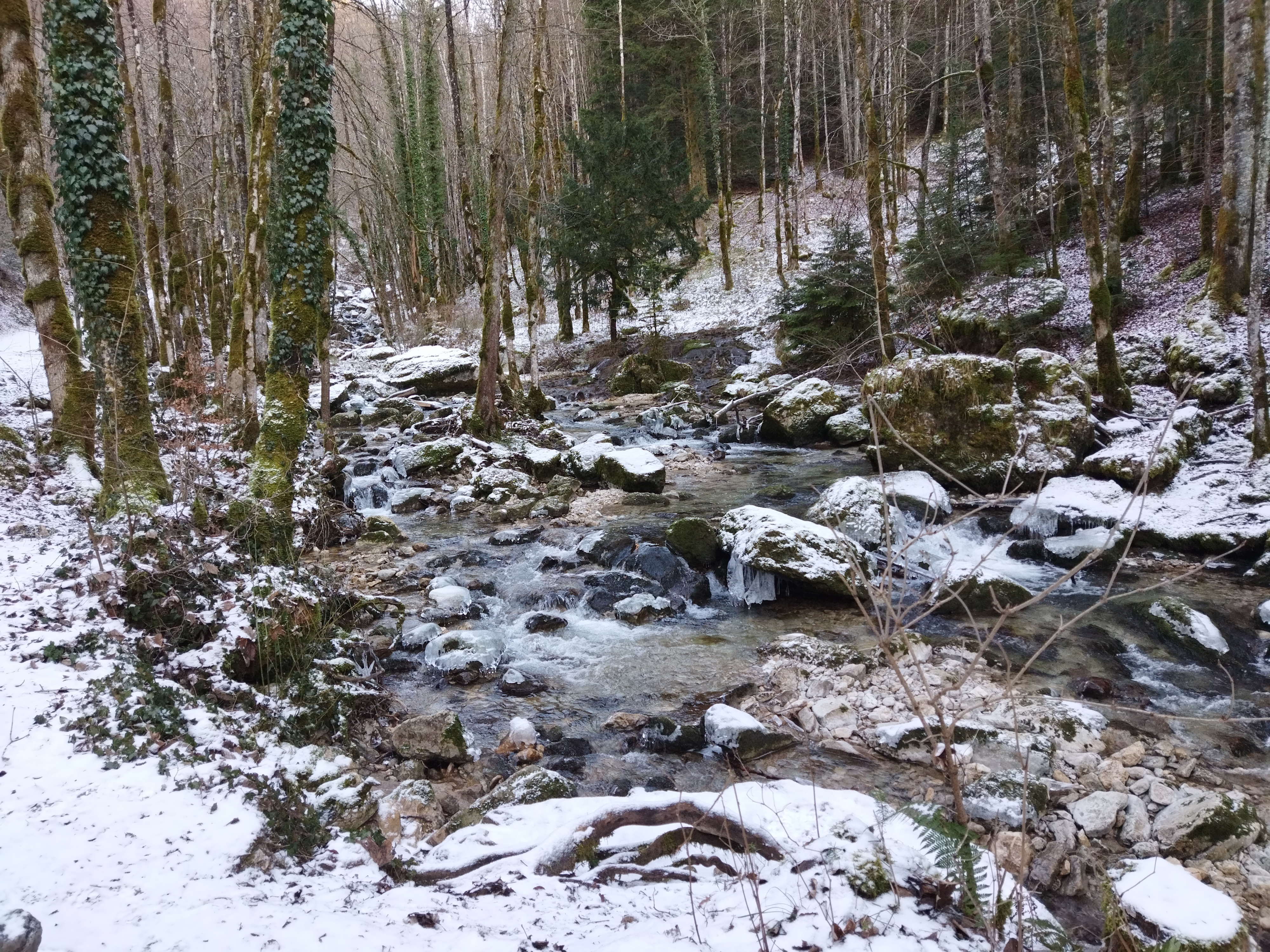 Photo n° 6 de l'avis de Christian.e fait le 22/01/2022 à 20:03
