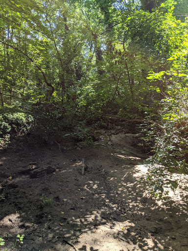 Historical Place «Hadrosaurus Foulki Leidy Site», reviews and photos, Maple Ave, Haddonfield, NJ 08033, USA