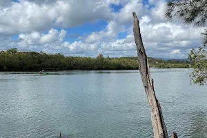 Tallebudgera Creek Environmental Park image