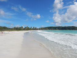 Foto de Caracas beach com baía espaçosa
