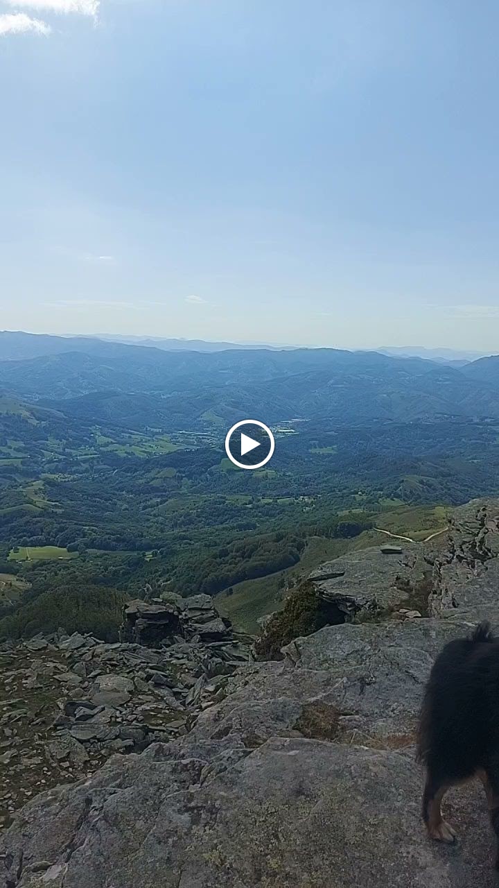 Photo n° 1 de l'avis de cameoz.a fait le 08/09/2023 à 16:43