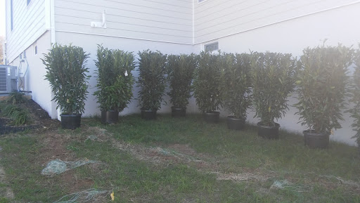 Grocery Store «Primos Mini Market», reviews and photos, 37 Strode Ave, Coatesville, PA 19320, USA