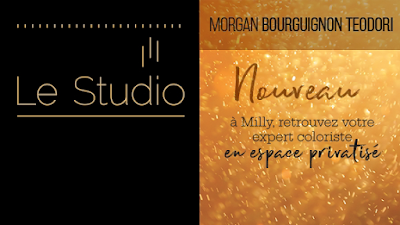 Le studio de Morgan à Milly-la-Forêt