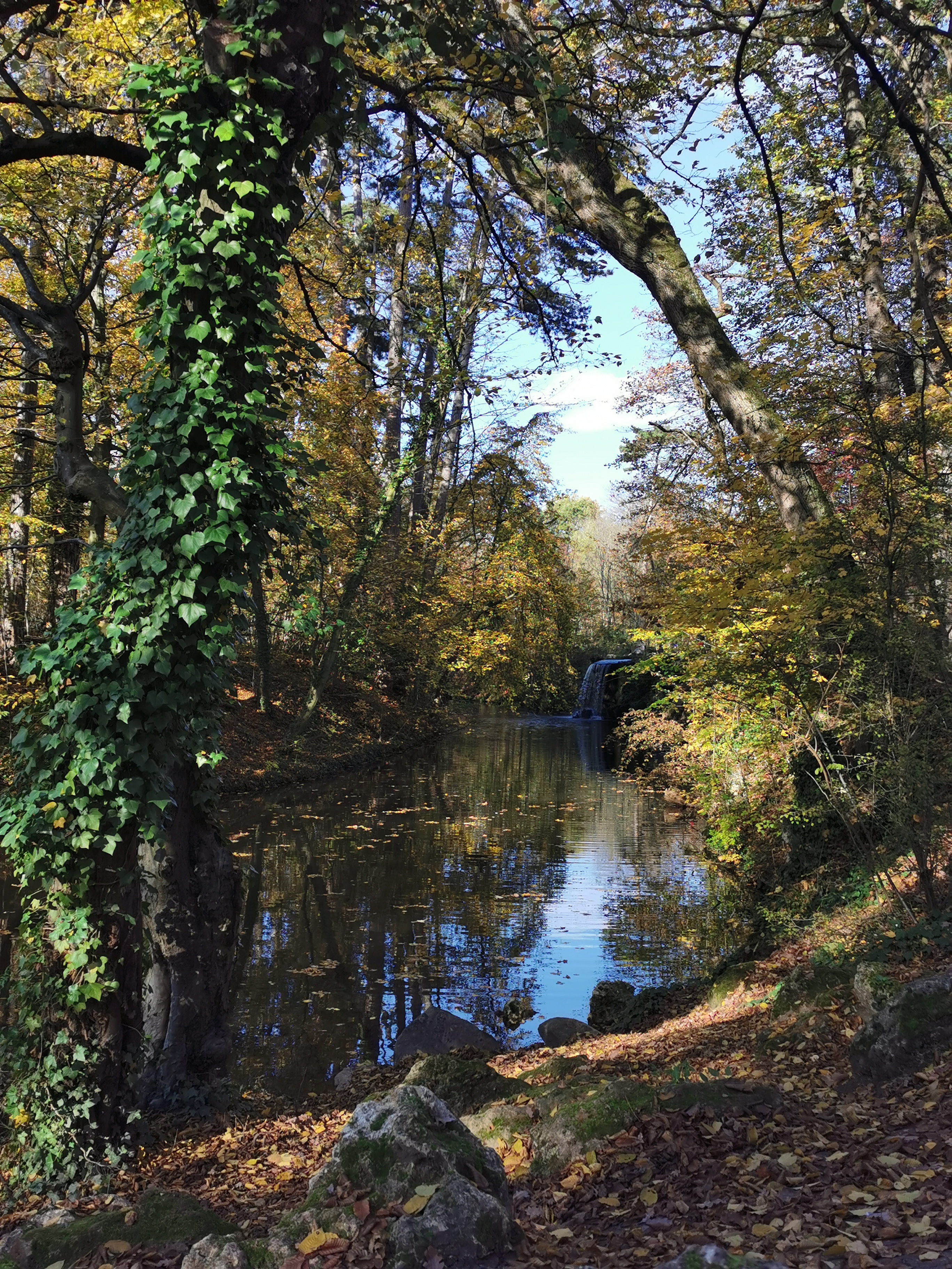 Photo n° 3 de l'avis de Lina.o fait le 09/12/2020 à 06:58