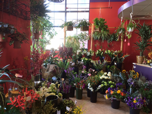 Florist «Little Shop of Flowers», reviews and photos, 2421 18th St NW, Washington, DC 20009, USA