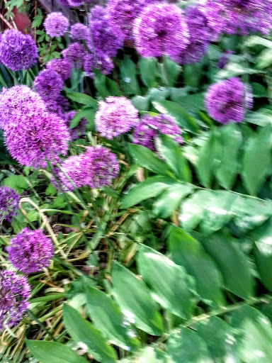 Grocery Store «Shoreless Acres General Store», reviews and photos, 5006 E Lake Rd, Livonia, NY 14487, USA