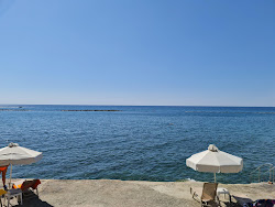 Harmony Bay Beach'in fotoğrafı otel alanı