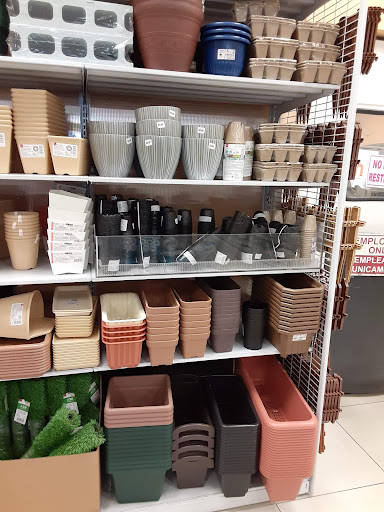 Variety Store «Daiso Japan», reviews and photos, 673 N Euclid St, Anaheim, CA 92801, USA