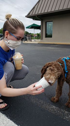 Coffee Shop «Starbucks», reviews and photos, 2034 N Highland Ave, Jackson, TN 38305, USA