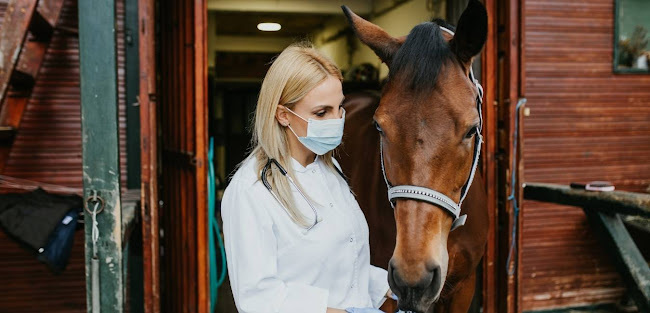 Reviews of Waikato Equine Veterinary Centre Taupo in Thames - Veterinarian