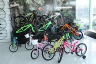 Edibikes, tienda de bicicletas, alquiler de bicicletas en Figueres