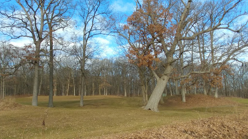 Golf Course «​​​​​Leslie Park Golf Course», reviews and photos, 2120 Traver Rd, Ann Arbor, MI 48105, USA