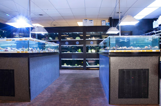 Tropical Fish Store «Premier Aquatics», reviews and photos, 1801 Roswell Rd, Marietta, GA 30062, USA