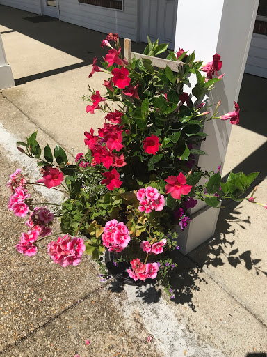 Day Spa «E Day Spa & Salon», reviews and photos, 154 W Montauk Hwy, Hampton Bays, NY 11946, USA