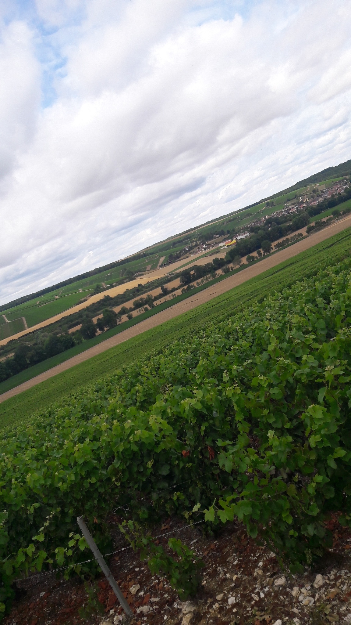 Photo n° 2 de l'avis de Christelle.e fait le 26/07/2020 à 16:52