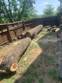 American Tree Care - Photo 3 - Car repair in , Roanoke