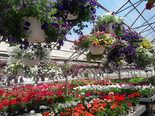 Produce Market «Didier Farms», reviews and photos, 16678 Aptakisic Rd, Lincolnshire, IL 60069, USA