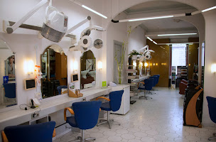 Photo n°10 de Centre capillaire Montélimar à Montélimar ()