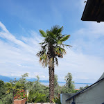 Photo n°7 de l'avis de Sabine.d fait le 06/06/2023 à 23:03 sur le  Hotel Residence San Rocco à Soiano del Lago