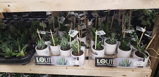 Home Improvement Store «The Home Depot», reviews and photos, 1220 NY-300, Newburgh, NY 12550, USA