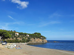 Foto di Platja de Garbet con baia spaziosa