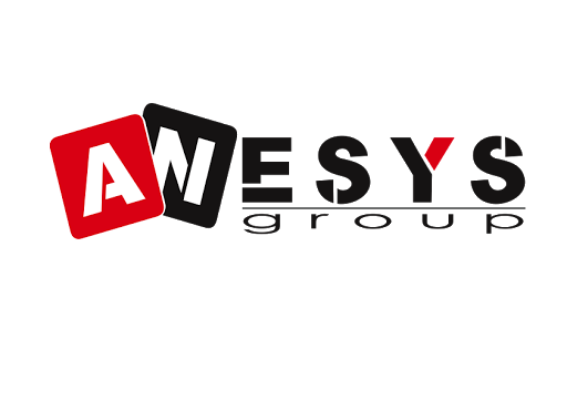 ANESYS Group, s.r.o. IT Servis