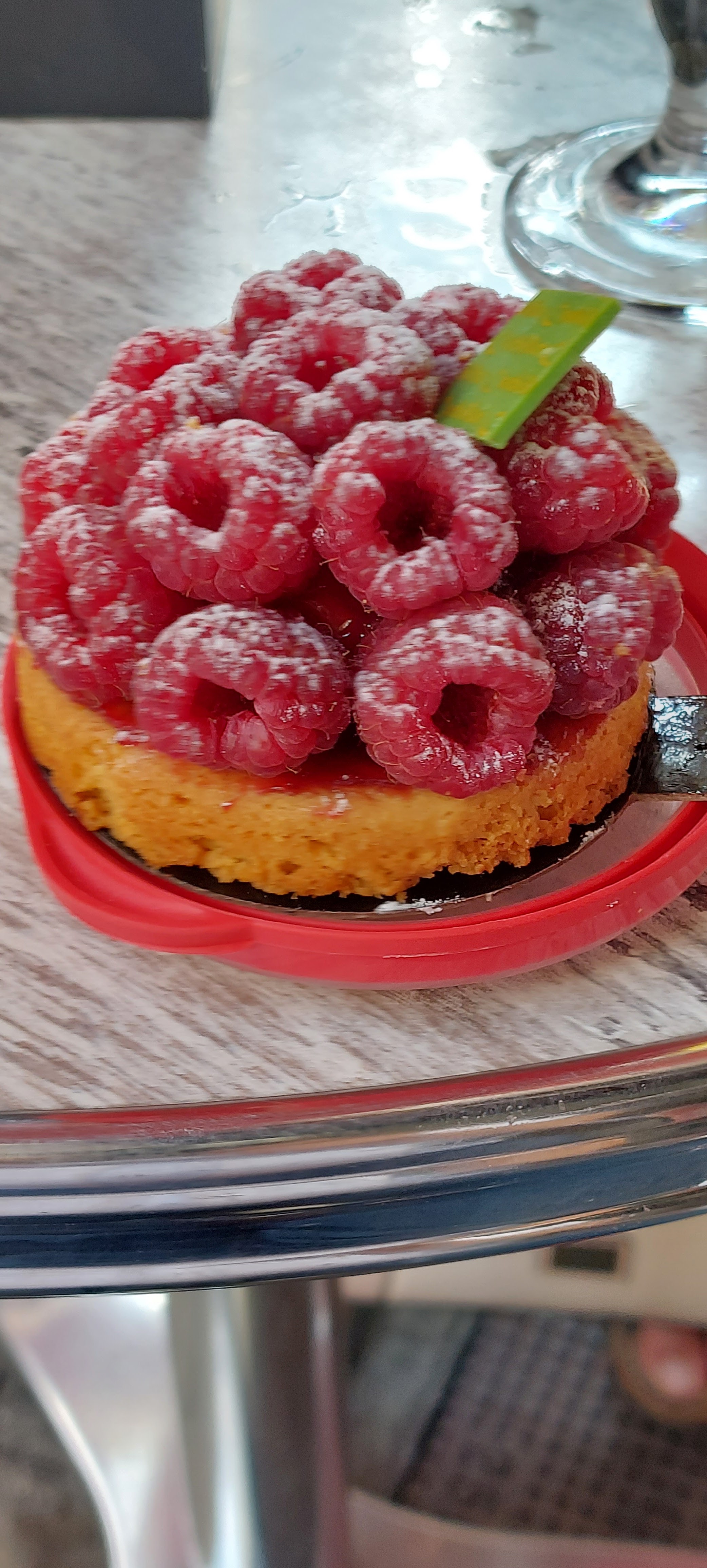 Photo n° 2 de l'avis de Moustique. fait le 28/08/2022 à 12:57