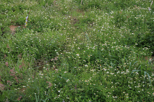 Top 20 cửa hàng loa nansin Huyện Đăk Pơ Gia Lai 2022