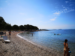 Foto av Cuvi beach II bekvämlighetsområde
