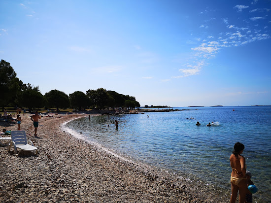 Cuvi beach II