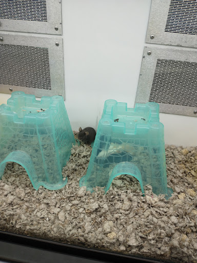 Pet Supply Store «Petco Animal Supplies», reviews and photos, 5177 Eldorado Pkwy, Frisco, TX 75033, USA