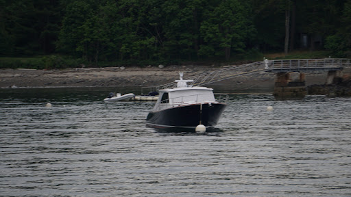 Whale Watching Tour Agency «Bar Harbor Whale Watch Co», reviews and photos, 1 West St, Bar Harbor, ME 04609, USA