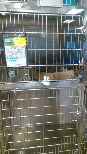 Pet Supply Store «PetSmart», reviews and photos, 11945 Central Ave, Chino, CA 91710, USA