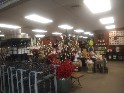 Florist «Nunan Florist & Greenhouses», reviews and photos, 269 Central St, Georgetown, MA 01833, USA