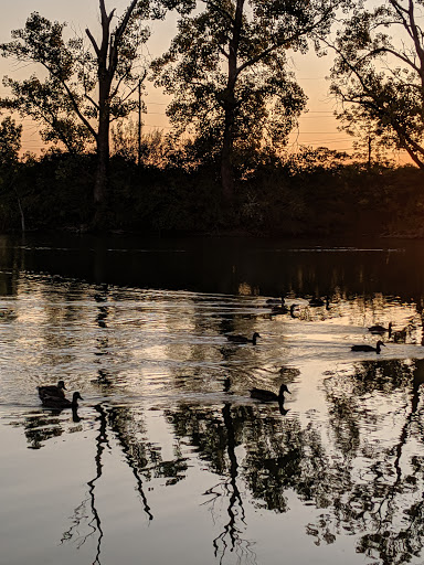 Park «Cottell Park», reviews and photos, 5847 Irwin Simpson Rd, Mason, OH 45040, USA