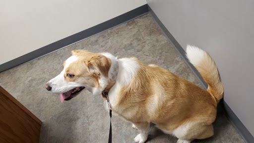 Olde Towne Fenton Veterinary image