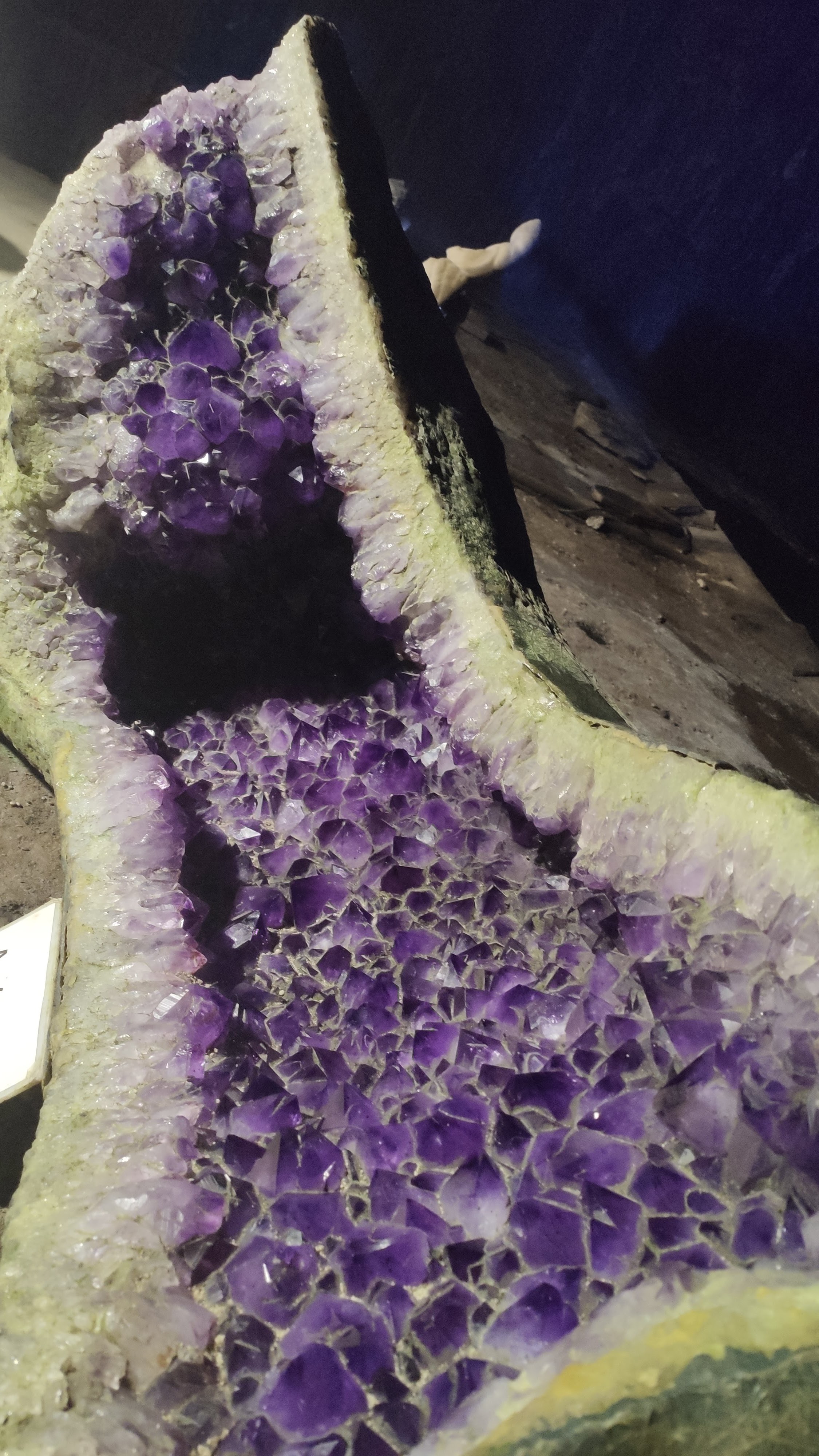 Photo n° 4 de l'avis de Noni.e fait le 26/08/2023 à 22:03